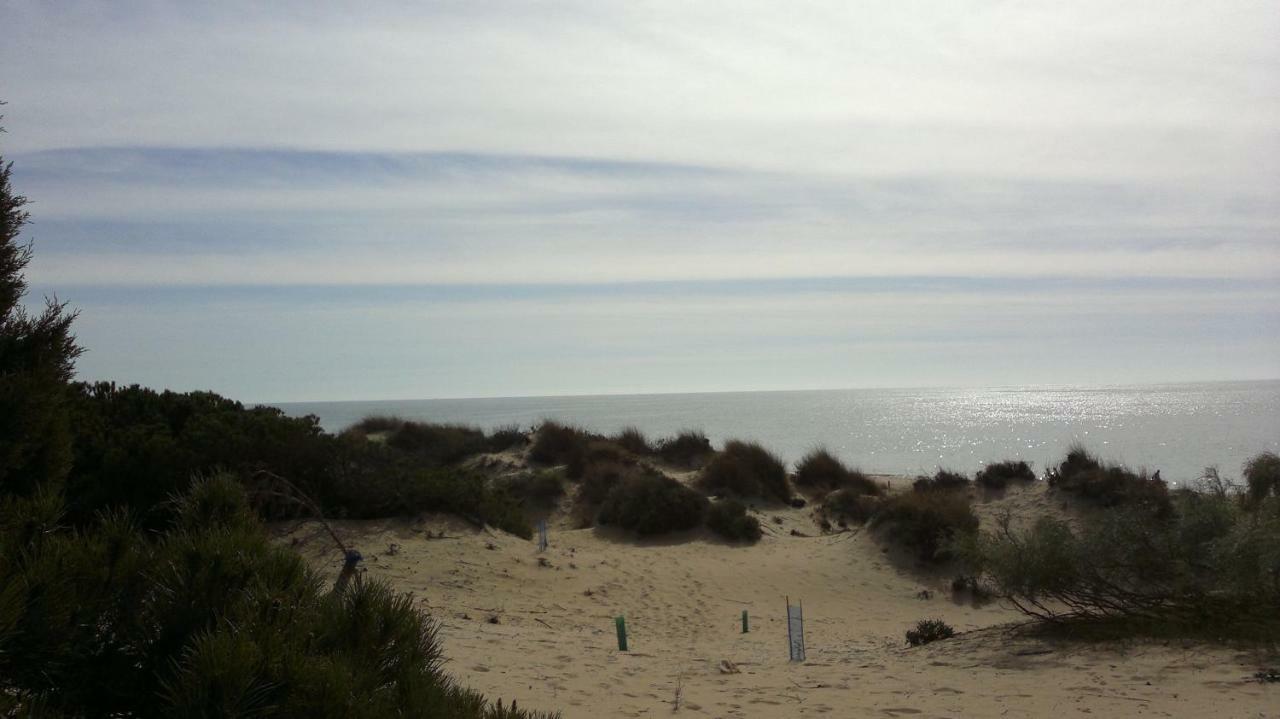 Duplex En Huelva A 15 Minutos En Coche De Las Mejores Playas De Espana Dış mekan fotoğraf