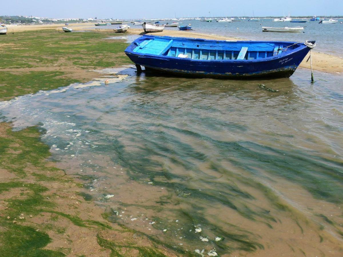 Duplex En Huelva A 15 Minutos En Coche De Las Mejores Playas De Espana Dış mekan fotoğraf